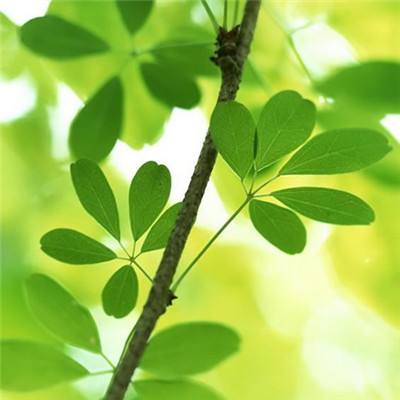 光模块、法拉第旋片、福晶科技